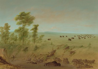 Saplanmış Bufalo ve Kurtlar, 18611869. by George Catlin