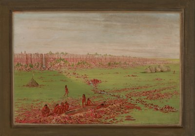 by George Catlin