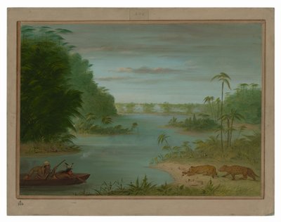 Palmiye Köprüsü ve Kaplan Vuruşu by George Catlin