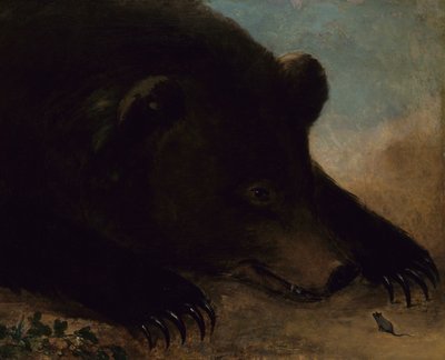 Bir Boz Ayı ve Fare Portreleri, Yaşam Boyu, 1846-1848. by George Catlin