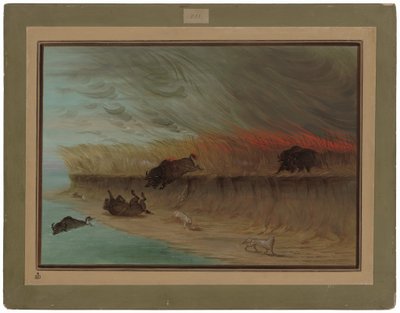 Çayır Çayırları Yanıyor by George Catlin