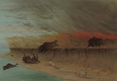Yanan Çayırlar, 18611869. by George Catlin