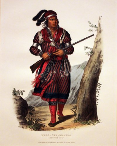  by George Catlin