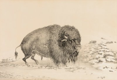  by George Catlin