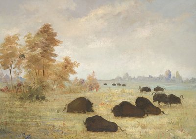  by George Catlin