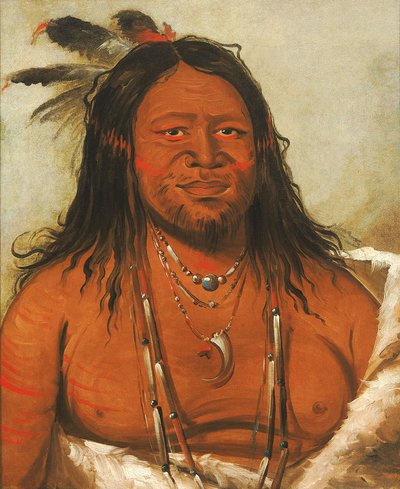 Ta-wáh-que-nah, Kayalar Dağı, Kabilenin İkinci Şefi by George Catlin