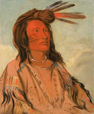 Tchán-dee, Tütün, bir Oglala Şefi, 1832. by George Catlin