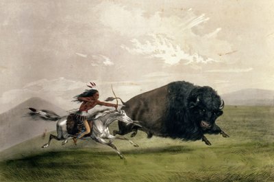 Buffalo Chase "Singling Out", pub. Currier ve Ives tarafından by George Catlin