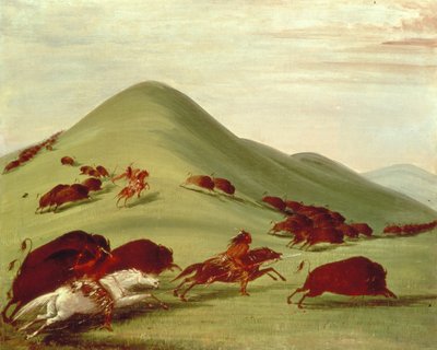Bufalo Avı by George Catlin