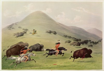 Bufalo Avı, 1832 dolayları by George Catlin
