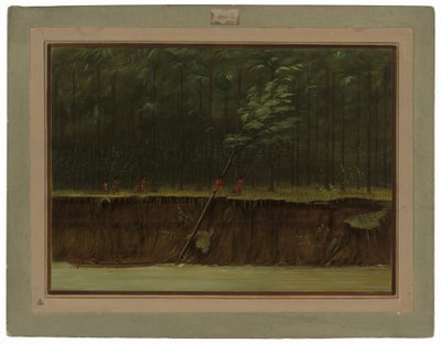 Aşağı Mississippi