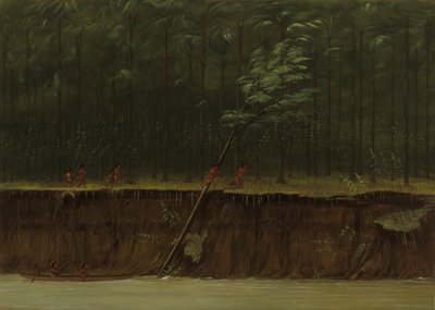Aşağı Mississippi