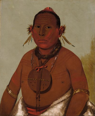 Wa-sáw-me-saw, Roaring Thunder, Kara Şahin