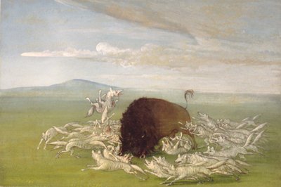  by George Catlin