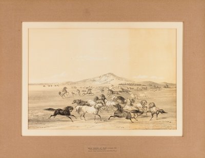 Vahşi Atlar Oyun Başında--no. 3 by George Catlin