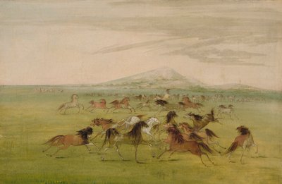 Vahşi Atlar Oyun Başında by George Catlin