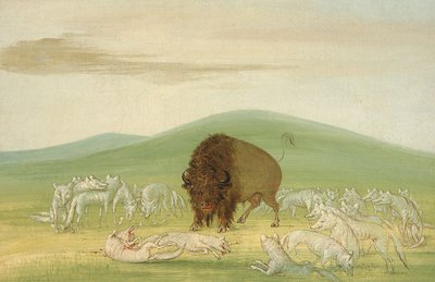  by George Catlin