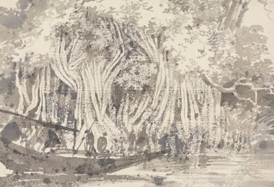 Bir Pipul Ağacı by George Chinnery