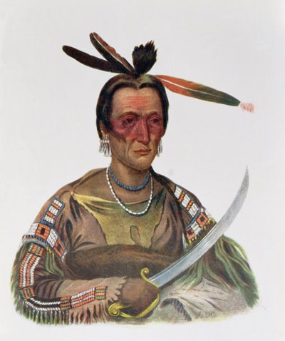 To-Ka-Cou, bir Yankton Sioux Chief, 1837, Thomas L. McKenney ve James Hall tarafından yazılan 