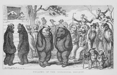 Zooloji Derneği Üyeleri (gravür) by George Cruikshank