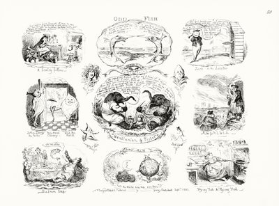 Odd Fish (engraving) by George Cruikshank