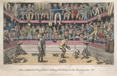 Sıçanlar öldürülüyor, 'Londra'da Yaşam, vb.', Pierce Egan by George Cruikshank