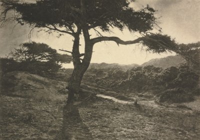 Kamera Çalışması: Uzun Kol by George Davison