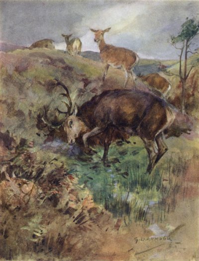 Bir Kızıl Geyiğin Öyküsü için İllüstrasyon (renkli taş) by George Denholm Armour