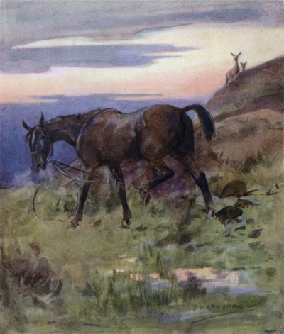 Bir Kızıl Geyiğin Öyküsü için İllüstrasyon (renkli taş) by George Denholm Armour
