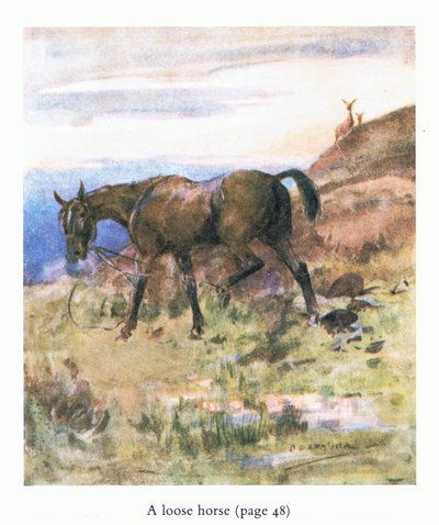Gevşek at (renkli taş) by George Denholm Armour