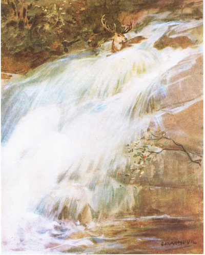 Son bir meydan okuma eylemiyle başını havaya kaldırıp şelaleye daldı (renkli taş) by George Denholm Armour