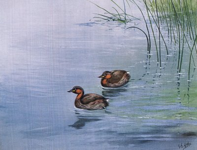 Küçük Batağan (lito) by George Edward Lodge