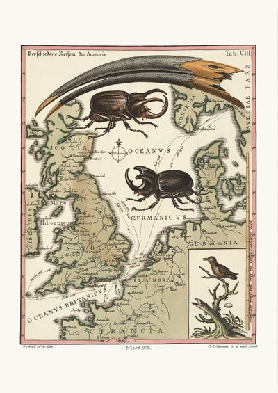 Aegyptian Ibis ve En Küçük Sinek Kuşunun Faturası, 1749-73 by George Edwards