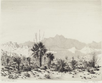 Bir Serap, Arizona by George Elbert Burr