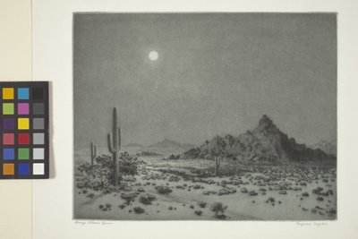 Arizona Gecesi by George Elbert Burr