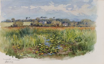  by George Elbert Burr