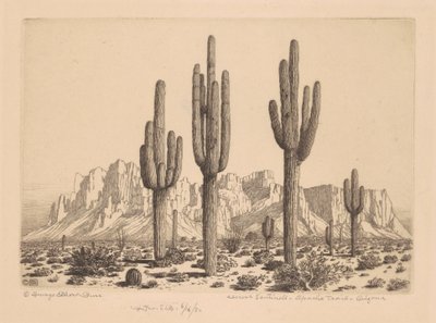 Çöl Nöbetçileri, Apaçi Yolu, Arizona by George Elbert Burr