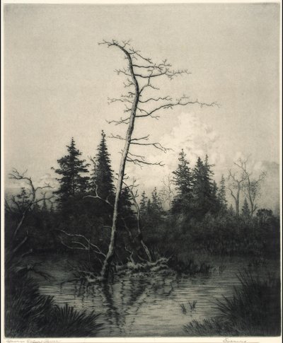  by George Elbert Burr