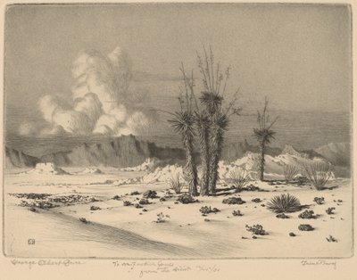 Akşam, Arizona by George Elbert Burr