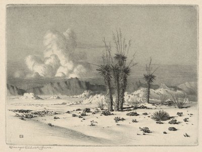 Akşam, Arizona by George Elbert Burr