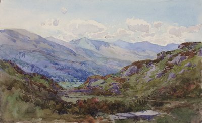 Yukarıdan Pont-y-Pant, 1899. by George Elbert Burr