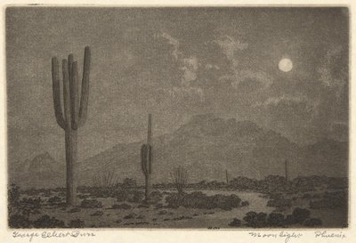 Mehtap-Phoenix by George Elbert Burr