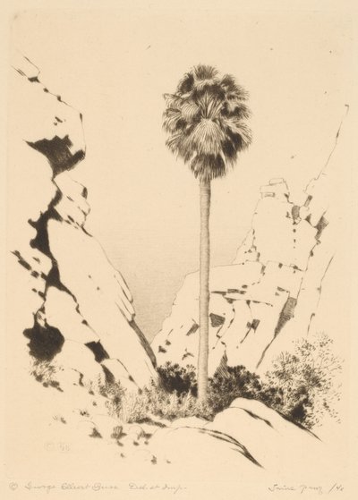 Palmiye Kanyonu (no.1) by George Elbert Burr