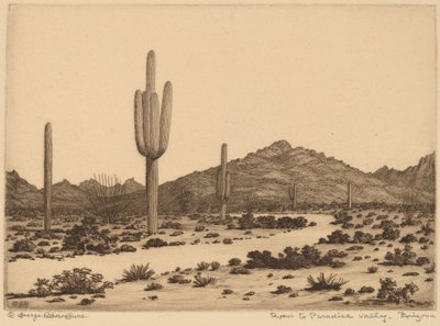 Paradise Valley, Arizona