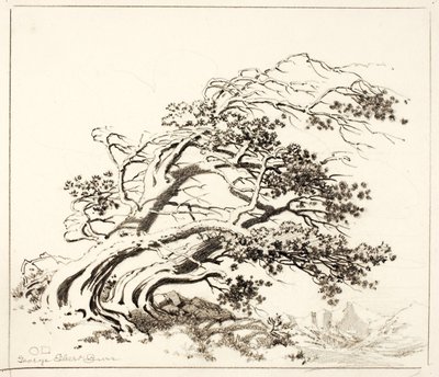  by George Elbert Burr