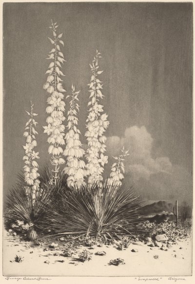 Sabunotu, Arizona (no. 2) by George Elbert Burr
