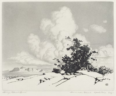 Yaz Bulutu, Apache Yolu, Arizona by George Elbert Burr
