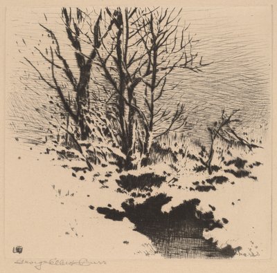 İlk Kar (no.2) by George Elbert Burr