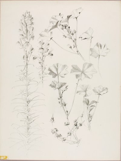  by George Elbert Burr
