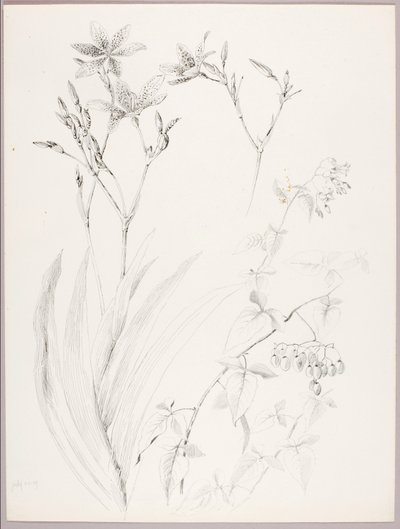  by George Elbert Burr